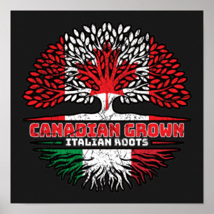 イタリアイタリアンカナダツリールーツ国旗 ポスター