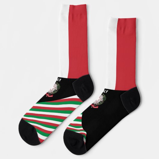 イタリアイタリアンソックス、国旗の色/スポーツ ソックス (左)