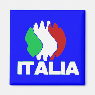 イタリアイタリアWCの2010年の冷蔵庫用マグネット マグネット