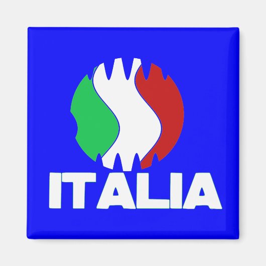 イタリアイタリアWC 2010冷蔵庫用マグネット マグネット (正面)