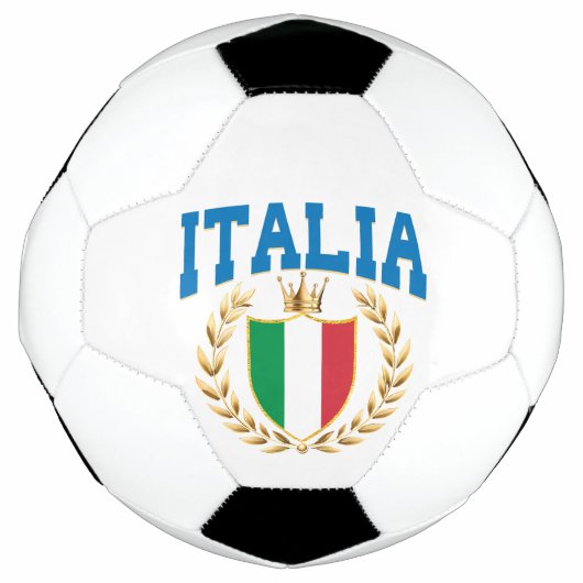 イタリアサッカーパローネディカルシオ サッカーボール (正面)