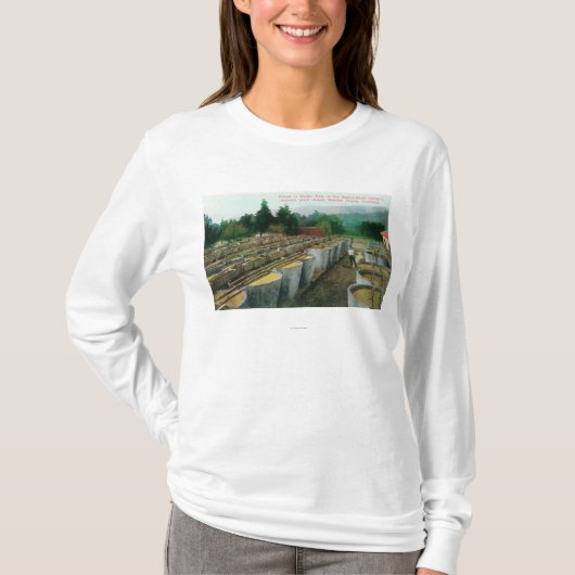 イタリアスイス人のコロンの大桶の眺め酒石英 Tシャツ (正面)
