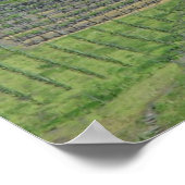 イタリアワインフィールド ポスター (角)