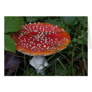 イタリアンなカード、Borgo Valsugana