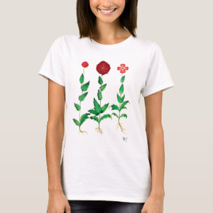 イタリアンなカーネーション2 Tシャツ
