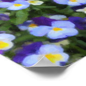 イタリアンなパンジーポスター ポスター (角)