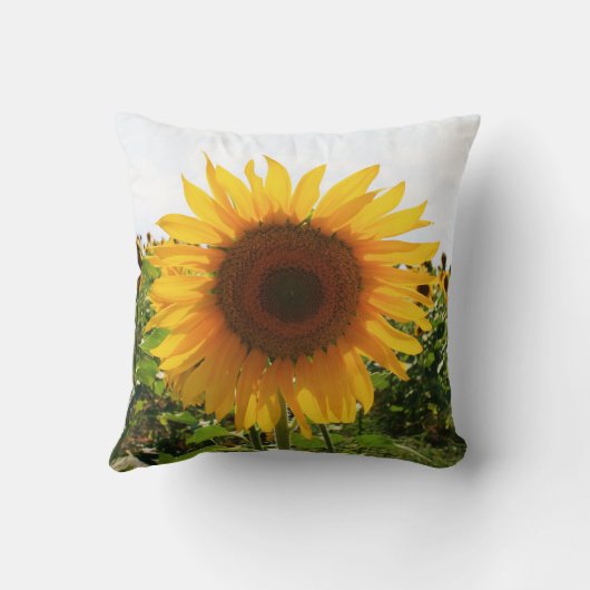 イタリアンなヒマワリ クッション (裏面)