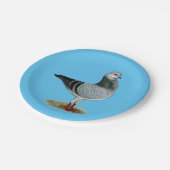 イタリアンなフクロウの灰色ハト ペーパープレート (アングル)