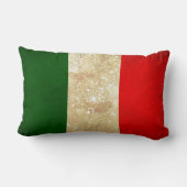 イタリアンな旗のヴィンテージのグランジなスタイルの装飾用クッション ランバークッション (裏面)