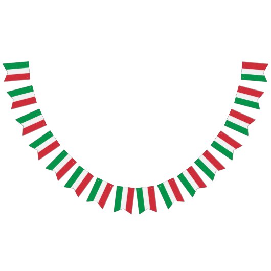 イタリアンな旗、イタリアの旗が付いているパーティーの旗 バンティングフラッグ (全)