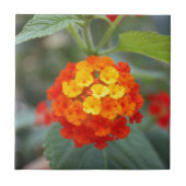 イタリアンな花 タイル (正面)