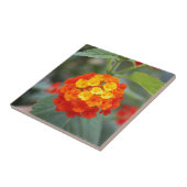 イタリアンな花 タイル (側面)