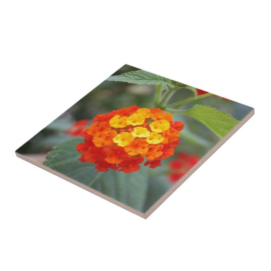 イタリアンな花 タイル (側面)