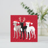 イタリアングレイハウンズホリデーパーティークリスマス (スタンド正面)