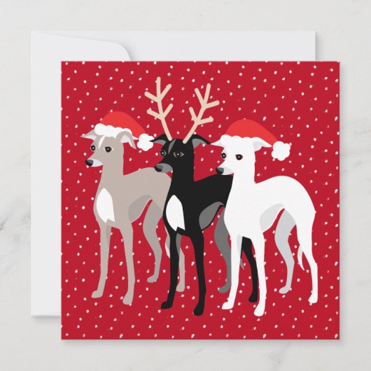 イタリアングレイハウンズホリデーパーティークリスマス (正面)