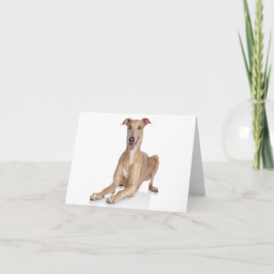 イタリアングレイハウンドの子犬ブランクノートカード カード
