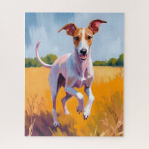 イタリアングレイハウンドの犬の絵 ペット