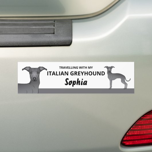 イタリアングレーハウンドと旅行中 バンパーステッカー (車上)