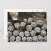 イタリアンサラミ ポストカード (正面/裏面)