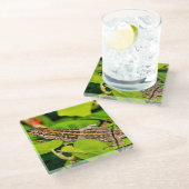 イタリアントカゲ ガラスコースター (アングル)