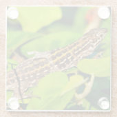 イタリアントカゲ ガラスコースター (裏面)