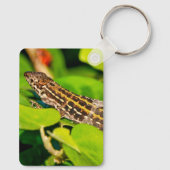 イタリアントカゲ キーホルダー (裏面)