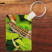 イタリアントカゲ キーホルダー (裏面)