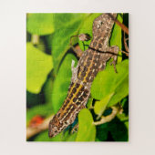 イタリアントカゲ ジグソーパズル (縦)