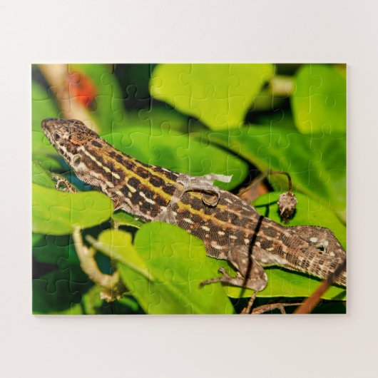 イタリアントカゲ ジグソーパズル (横)