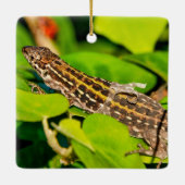 イタリアントカゲ セラミックオーナメント (裏面)