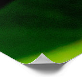 イタリアントカゲ ポスター (角)