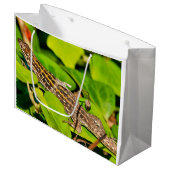 イタリアントカゲ ラージペーパーバッグ (正面アングル)