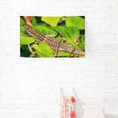 イタリアントカゲ 横断幕 (インサイチュ)