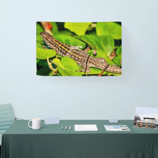 イタリアントカゲ 横断幕 (トレードショー)