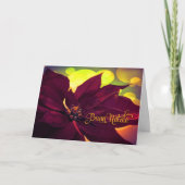 イタリアンブオンナターレクリスマスワインポインセチア シーズンカード (正面)