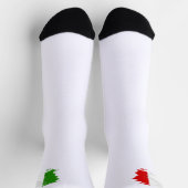 イタリアン旗 ソックス (上部)