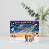 イタリアン・スピノーネ3頭とクリスマスの日の出 シーズンポストカード (スタンド正面)