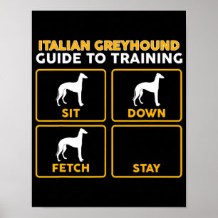 イタリアンgreyhoundおもしろい guide ポスター