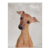 イタリアンGreyhoundポスター ポスター (正面)