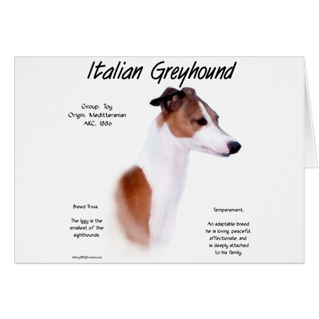 イタリアンGreyhound履歴デザイン (正面横)