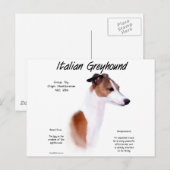 イタリアンGreyhound履歴デザイン ポストカード (正面/裏面)