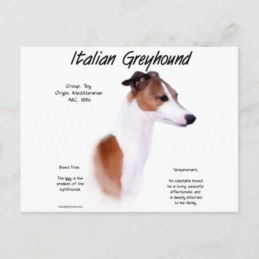 イタリアンGreyhound履歴デザイン ポストカード (正面)