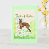 イタリアンGreyhound考え: カード (黄色い花)