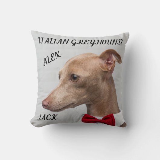 イタリアンGREYHOUND装飾用クッション（名前/メッセージ）。 クッション (正面)
