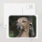 イタリアンGreyhound 9K74D-11 ポストカード (正面/裏面)
