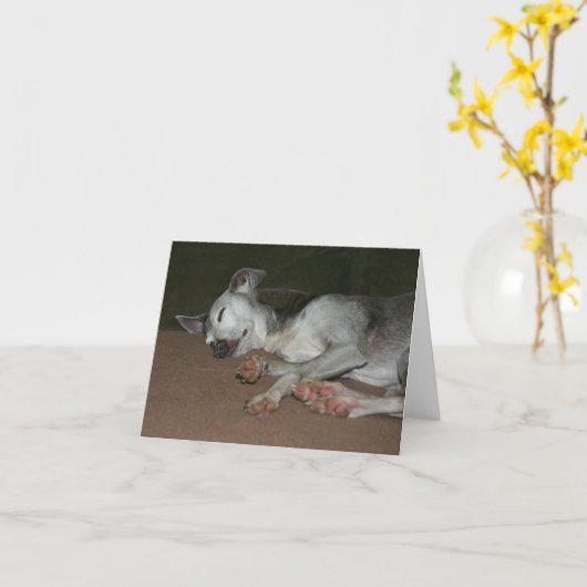 イタリアンGreyhound Card #1 カード (黄色い花)