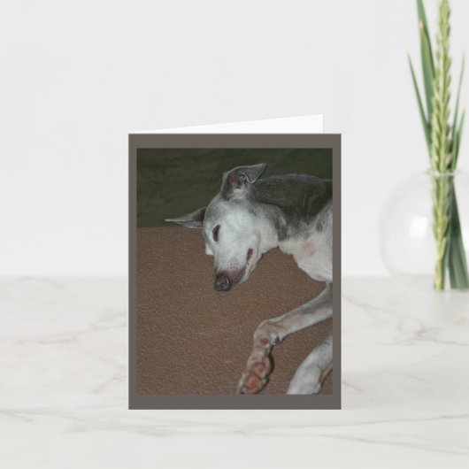 イタリアンGreyhound Card #2 カード (正面)