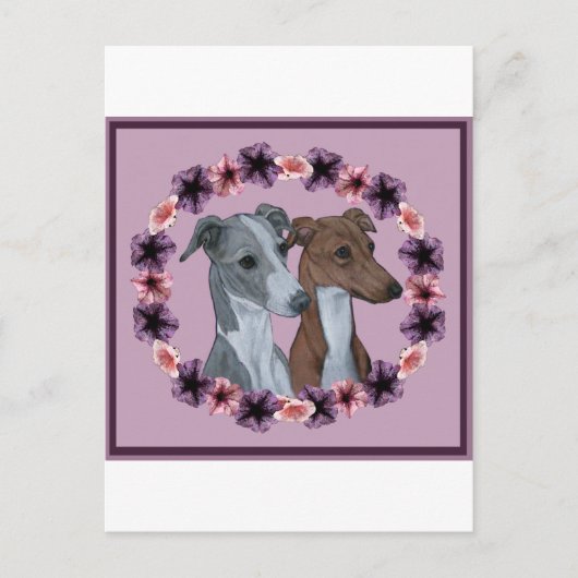 イタリアンGREYHOUND DUO ポストカード (正面)