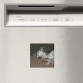 イタリアンGreyhound Magnet - "Max" マグネット (インサイチュ (食洗機))