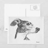 イタリアンGreyhound Sketch ポストカード (正面/裏面)